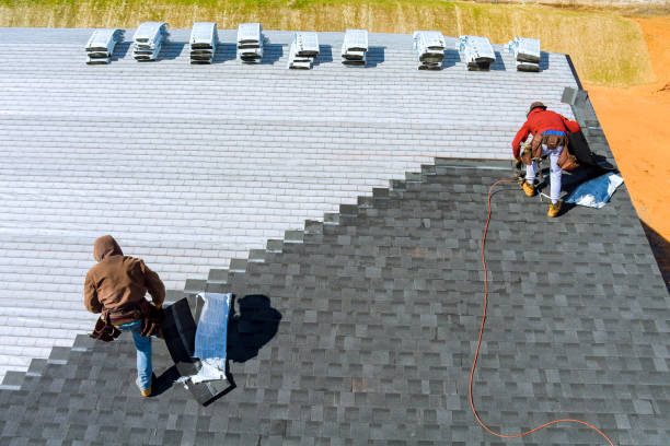Best Gutter Installation and Roofing  in Westvle, IL