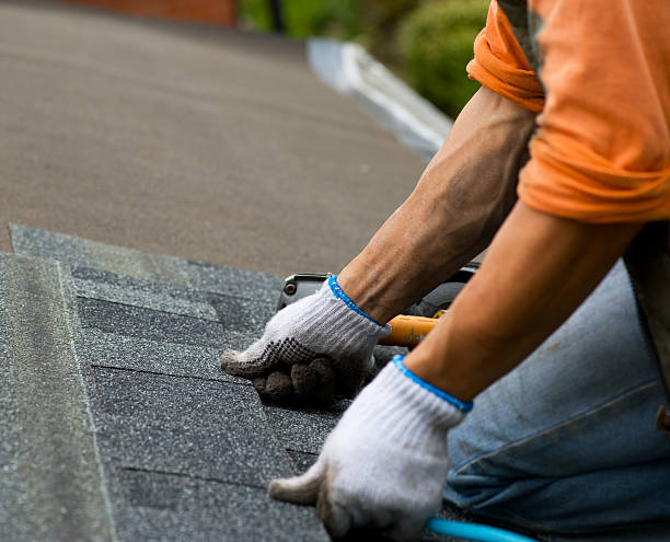 Best Residential Roofing Contractor  in Westvle, IL